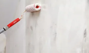 اشكال نقاشة الحوائط